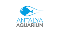 ANTALYA AKVARYUM